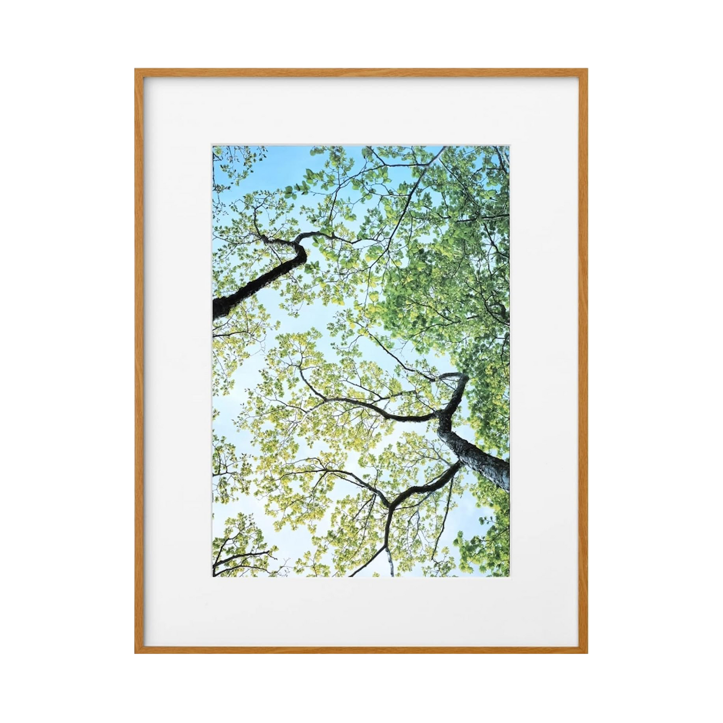 High-Definition Mat Frame
